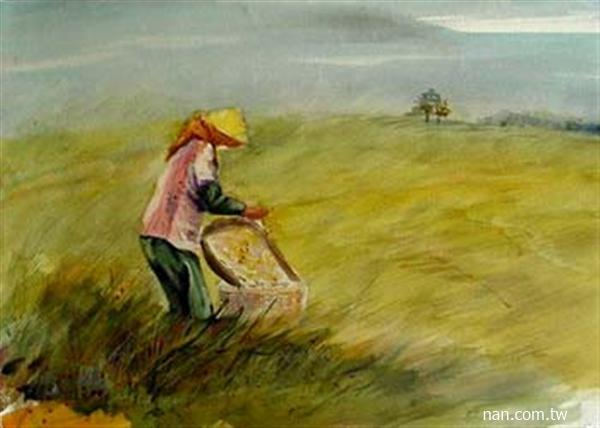 金黃色稻田中的農婦