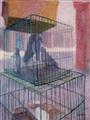 鴿之籠  Pigeons in a Cage