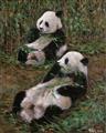 大熊貓 Panda 