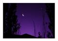 敦煌之晨 A New Moon over the Dune