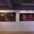 《2011新人展》展場