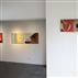 圓:林復南個展
