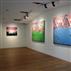 圓:林復南個展