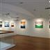 圓:林復南個展